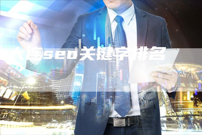 大连seo关键字排名