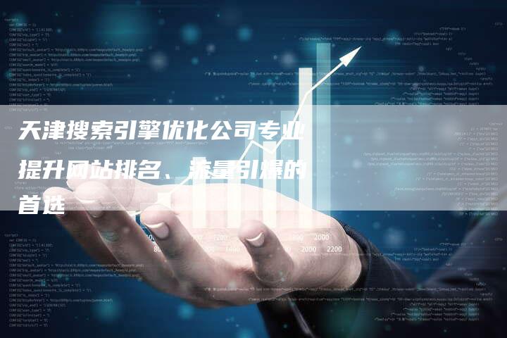 天津搜索引擎优化公司专业提升网站排名、流量引爆的首选