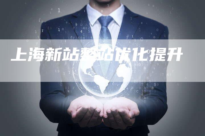 上海新站整站优化提升