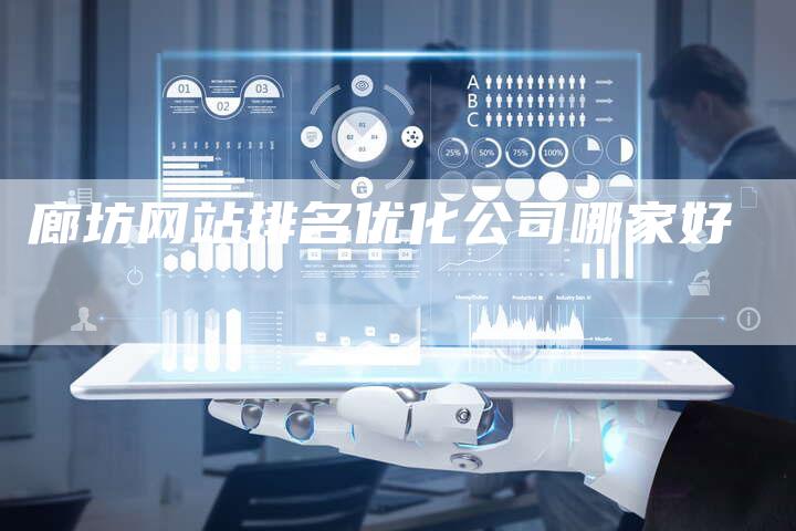 廊坊网站排名优化公司哪家好