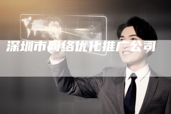 深圳市网络优化推广公司