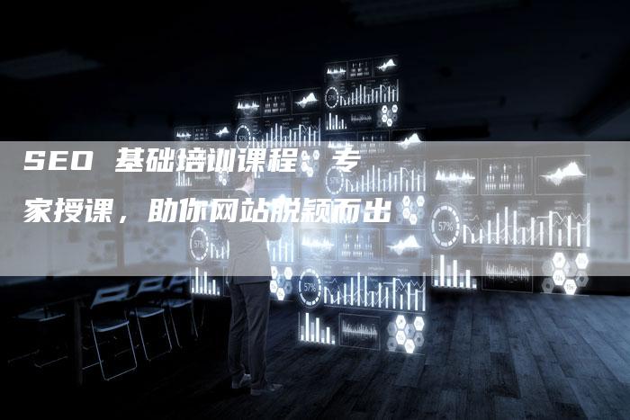 SEO 基础培训课程：专家授课，助你网站脱颖而出