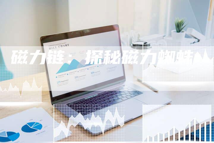 磁力链：探秘磁力蜘蛛